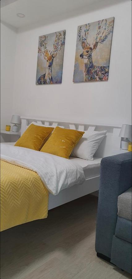 Nova Varoš Apartman Iva מראה חיצוני תמונה